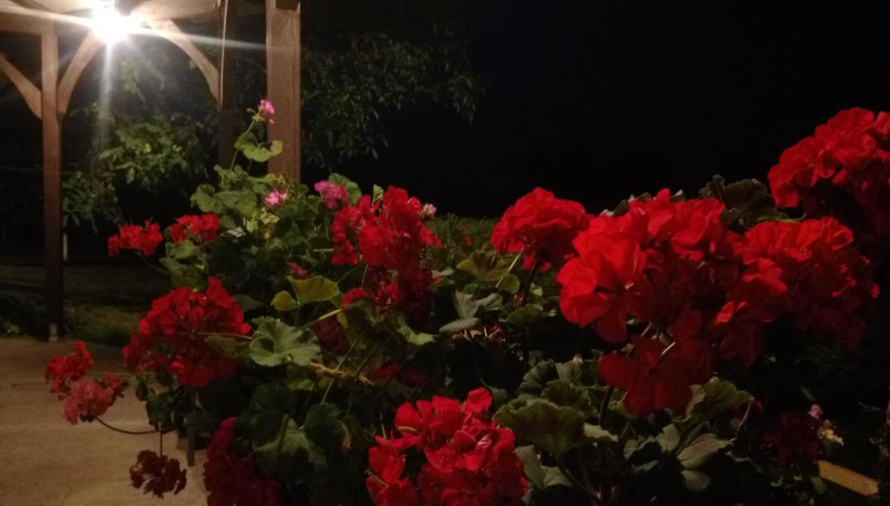 Pokoje Goscinne Gazda Polanica-Zdroj Dış mekan fotoğraf